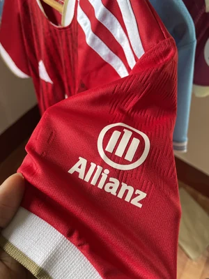 Bayern Fan Addition 