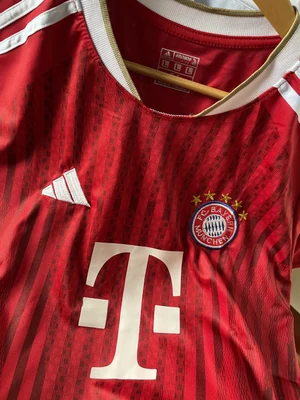 Bayern Fan Addition 