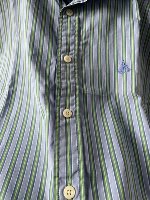 Formal Shirt Green Stripe